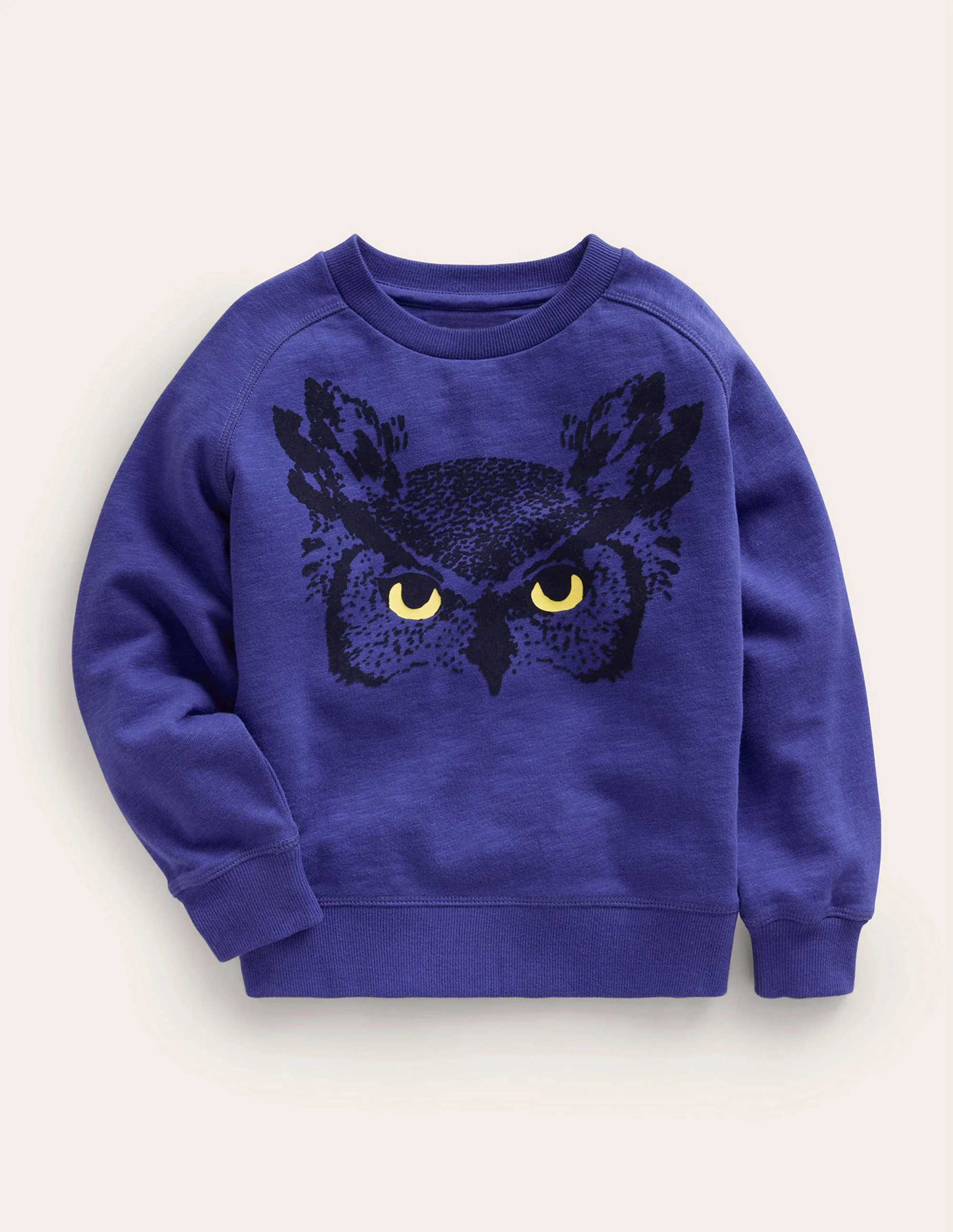 Owl Sweatshirt-Bluing