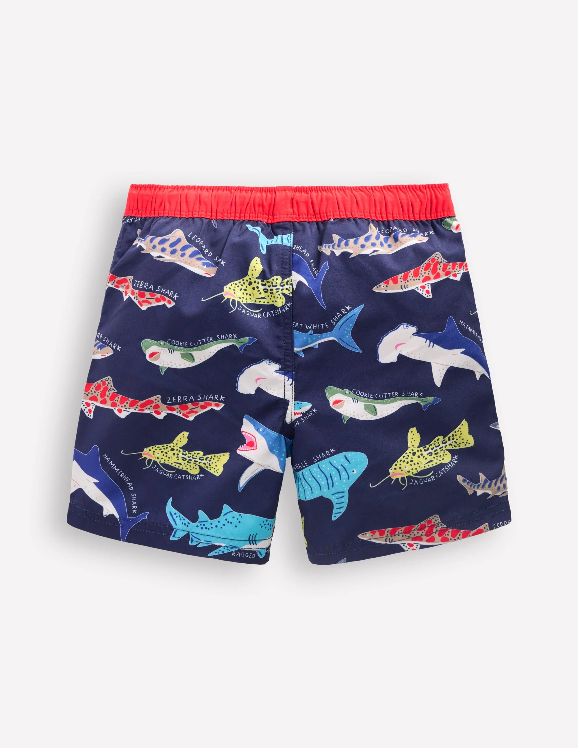 Swim Shorts-College Navy Sharks - Image 2