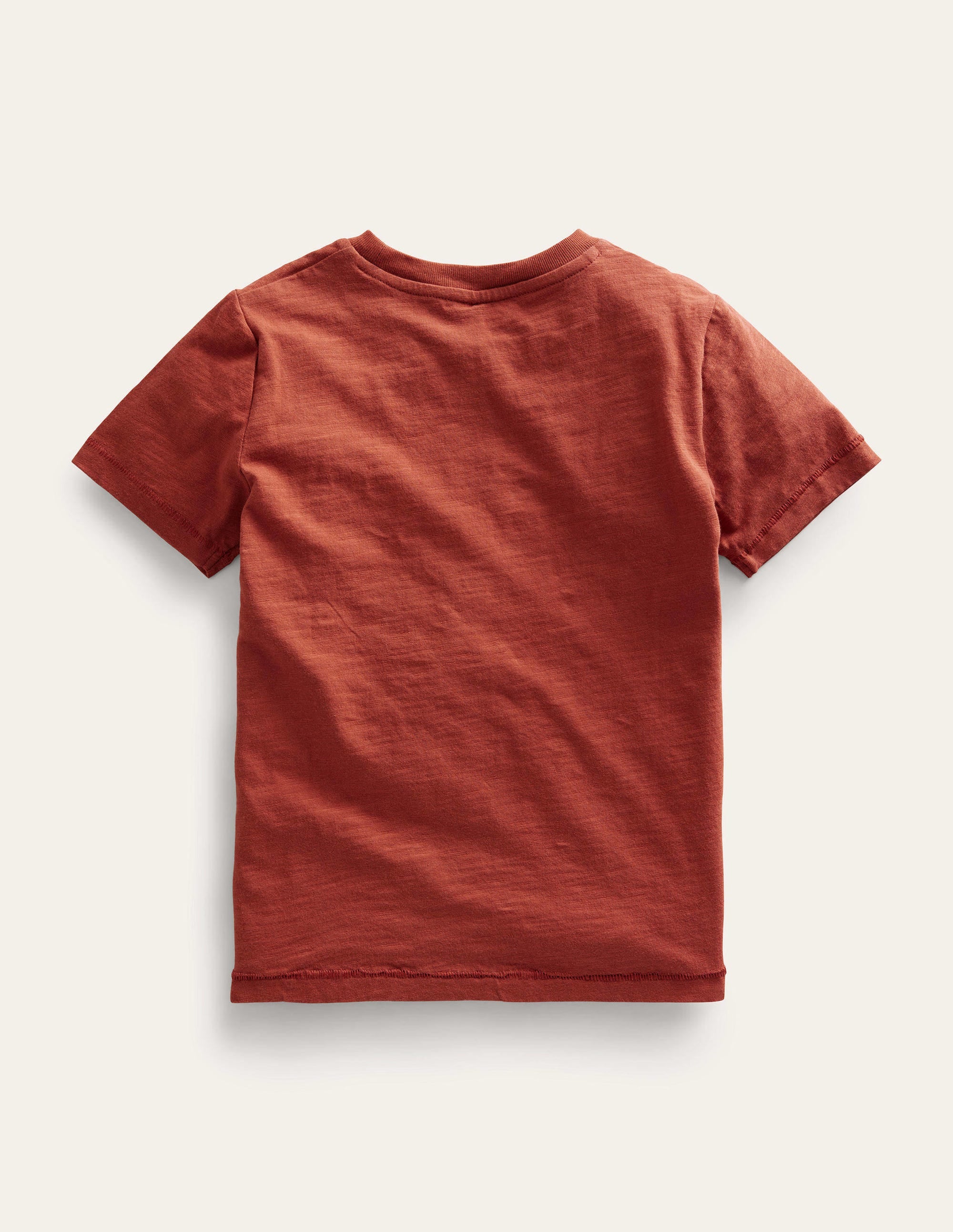 Washed Slub T-shirt-Roasted Chesnut - Image 2