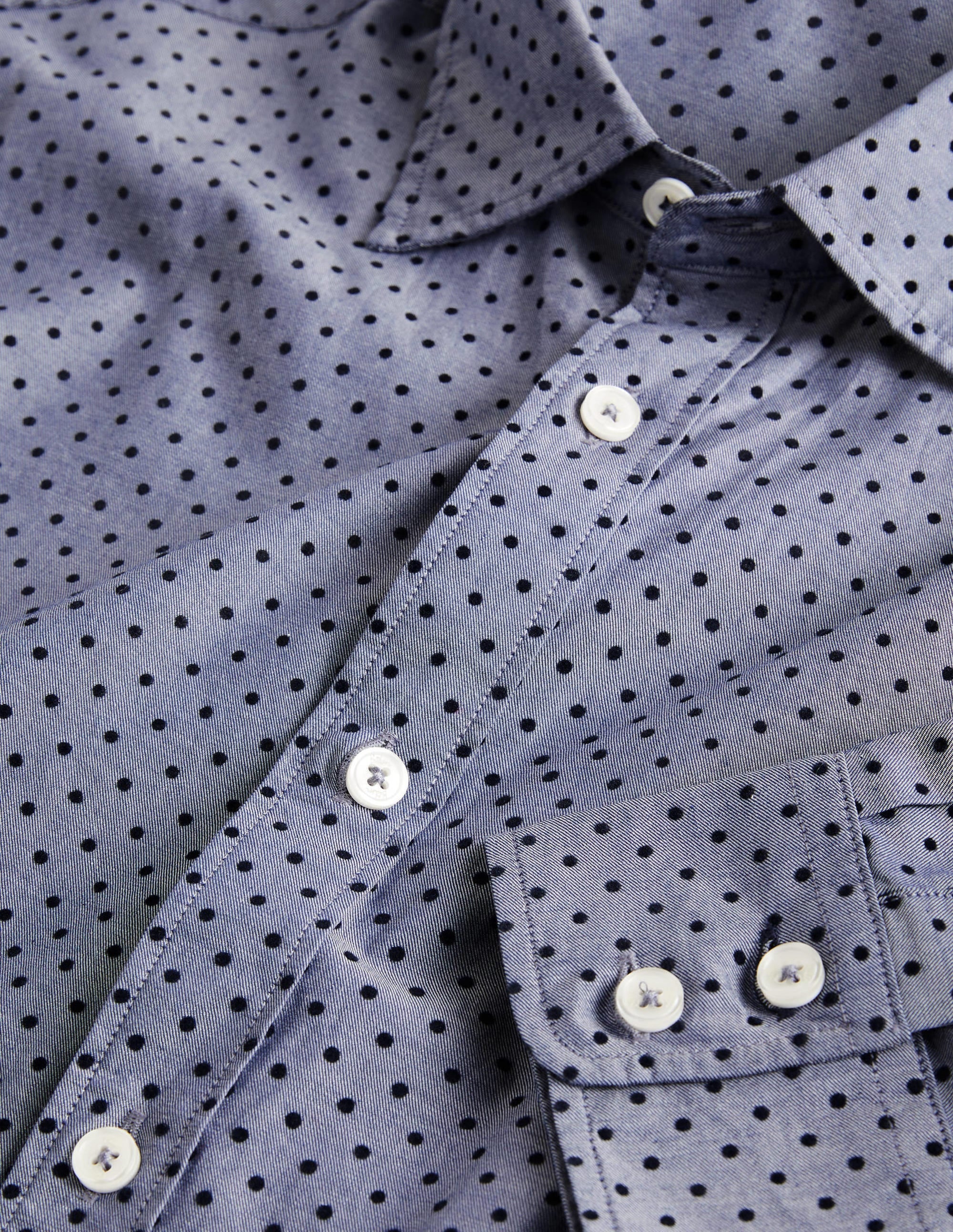 Cutaway Twill Slim Fit Shirt-Blue Flocked Spot - Image 6
