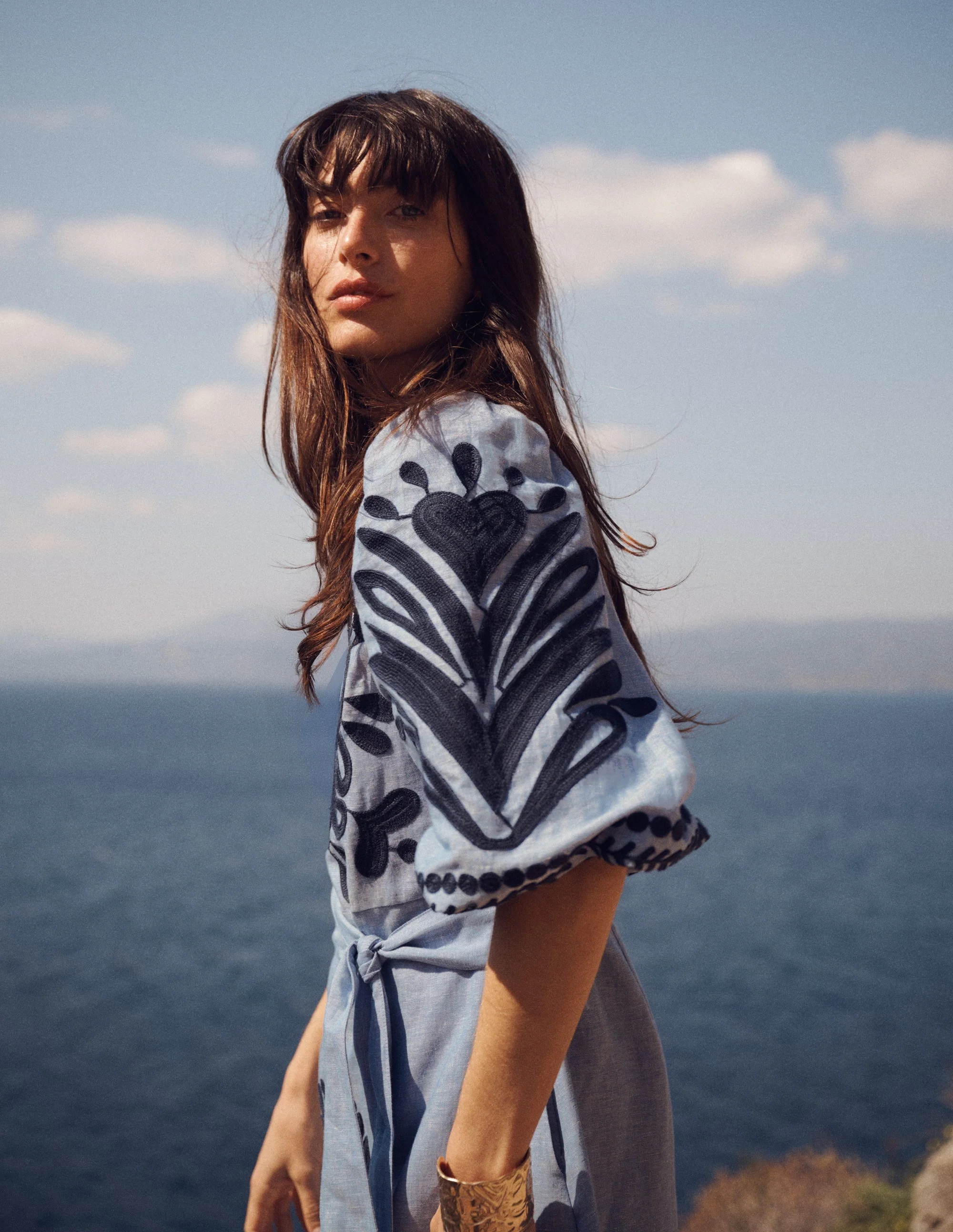 Octavia Linen Blend Dress-Embroidered Chambray - Image 7